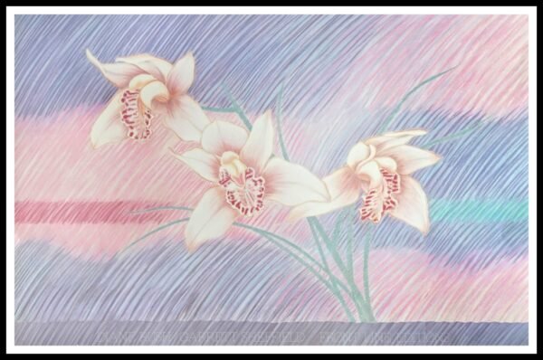 FLG DR-93 Pastel Trio